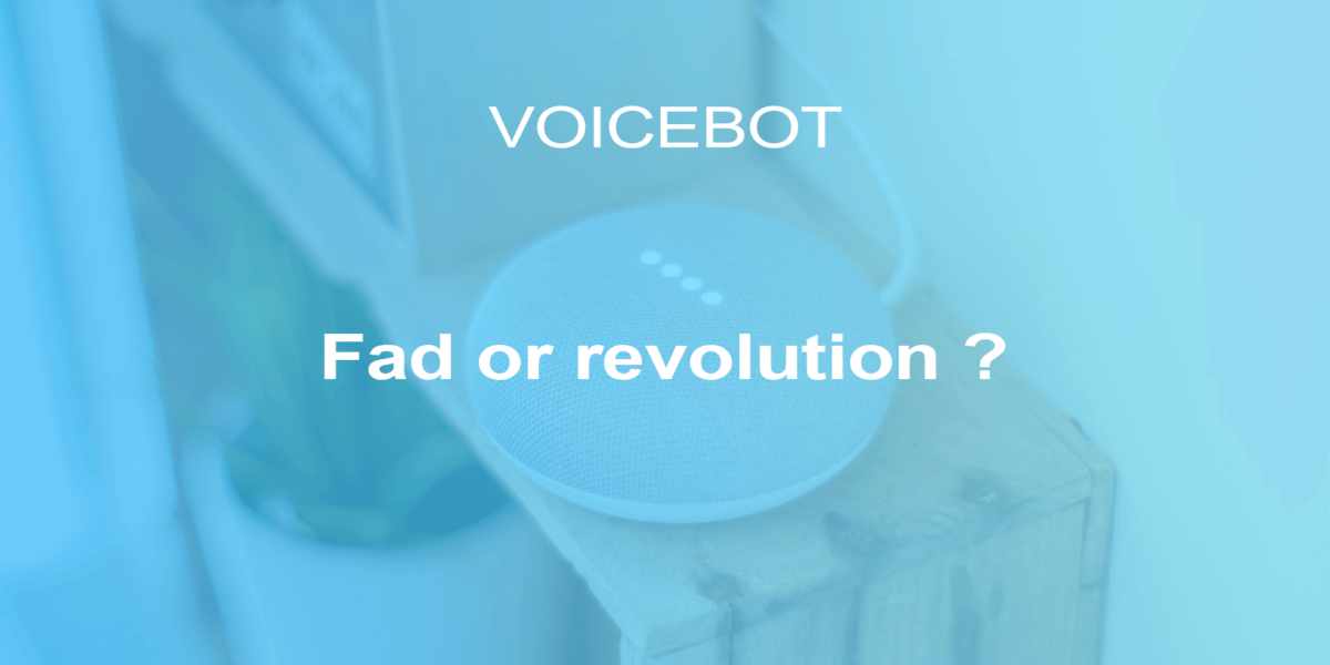 Do voicebots represent a real technological evolution or is it just a fad?