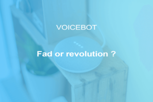 Do voicebots represent a real technological evolution or is it just a fad?